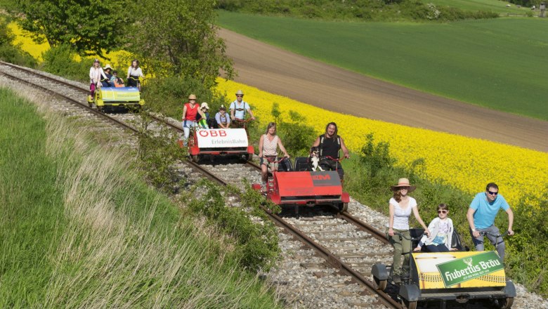 Menschen fahren auf Draisinen durch eine ländliche Landschaft mit gelben Rapsfeldern.
